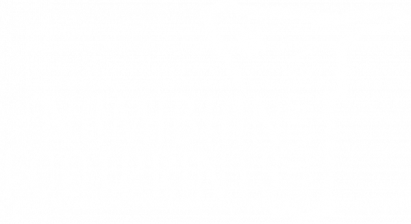 (c) Namibian-footprint-foundation.com